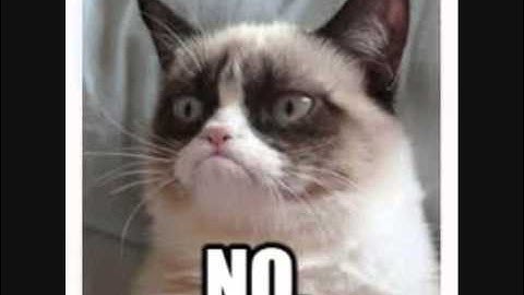 FNAF theory  Why mangle has 2 heads