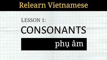 Relearn Viet |  Lesson 1: Consonants