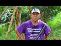 Capture de la vidéo Tas Belize Limited | Iica Good Agriculture Practice [Documentary]