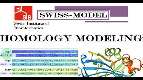 Homology Modelling & Quality Assessment of Protein 3D Structure by Swiss Model @MajidAli2020