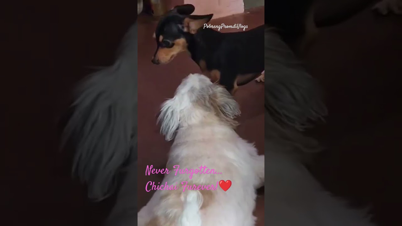  - HeartVod