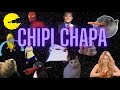 Chipi chipi chapa chapa  memes edit