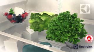 Холодильник Electrolux EN93854MX Холодильник Electrolux EN93854MX
