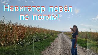 картинка: КУДА МЫ ЗАЕХАЛИ? ПОЧЕМУ ОН ТАК СДЕЛАЛ? А ВДРУГ ВСЕ ЗРЯ...