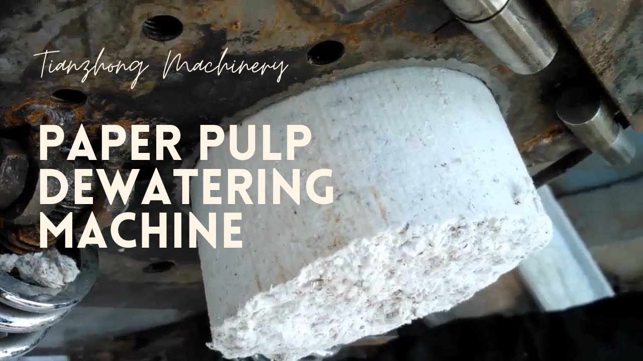 Paper Pulp Dewatering and Press Machine Screw Press YouTube