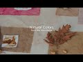 Looking for new colors in the mountains ( hike + results at the end) - natural dyeing research