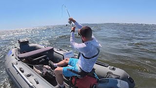 картинка: Це просто УЖАС, Серед стаї ТРОФЕЙНОГО ОКУНЯ Стоять ВОНИ і клюють лише на !!! НЬОГО !!!