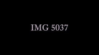 IMG 5037