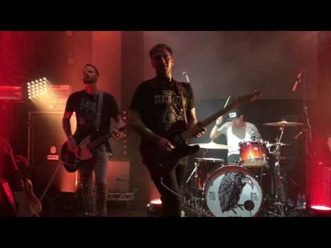 Highly Suspect -