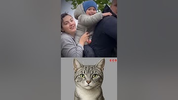 give this video a title (wrong answers only) #cat #meme #dance #trending #tiktok..