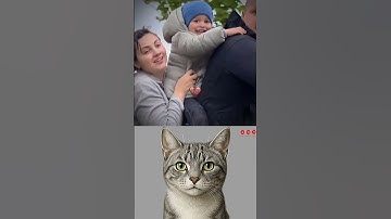 give this video a title (wrong answers only) #cat #meme #dance #trending #tiktok..