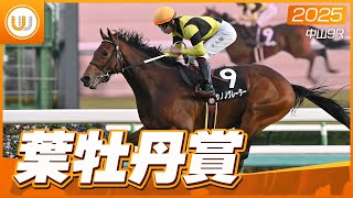 レース映像】中山9R 葉牡丹賞｜サノノグレーター（横山武史