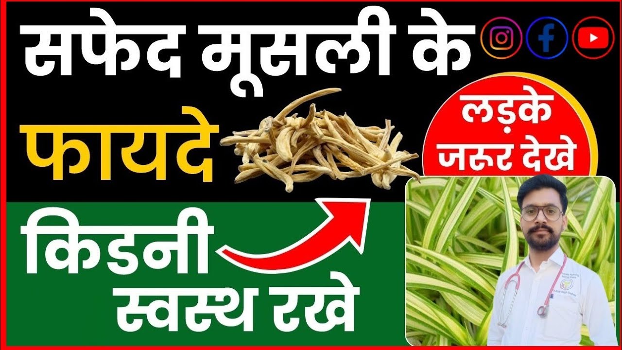 Safed Musli Ke Fayde सफेद मूसली खाने के फायदे, वजन बढ़ाने से लेकर