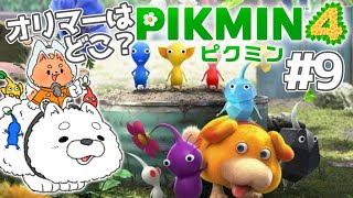 【ピクミン４】引き続きオリマー探し！どこにいるんですかぁ！？【初見プレイ】