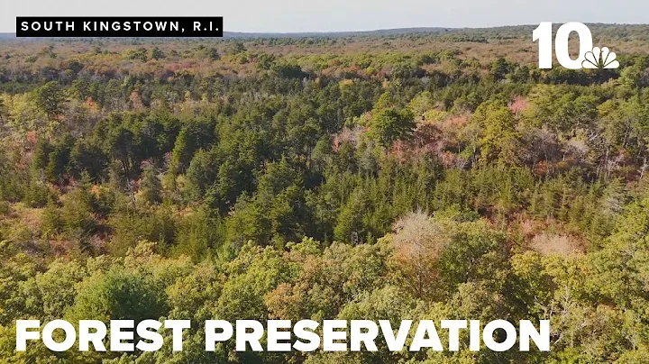 Advocates disagree over Great Swamp Wildlife Management Area tree removal