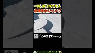 群れからはぐれたペンギンが…【おもしろ動物】 #funny thumbnail