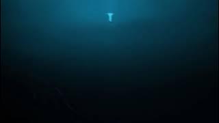 Ruelle - Deep End (slowed   reverb)