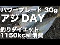 アジ DAY ！そして釣りダイエット！ #PB-30#パワーブレード#コアマン#ダイエット