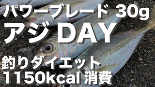 アジ DAY ！そして釣りダイエット！ #PB-30#パワーブレード#コアマン#ダイエット