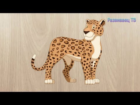 Animals Puzzle for