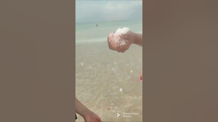 Mar muerto, el lugar más bajo sobre el nivel del mar 🌊🌊