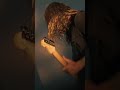 Why can't you just be honest? | 'Just Be Honest' - SAOSIN