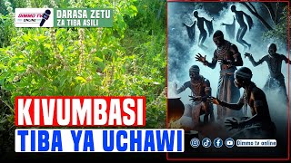 JINSI YA KUTUMIA KIVUMBASI KUTIBU UCHAWI NA MAJINI SUGU.