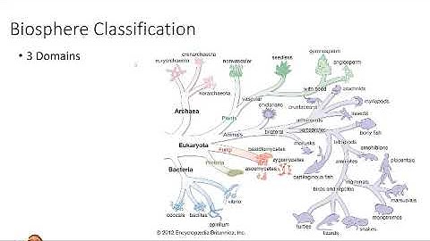 Lecture 14   Biosphere