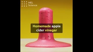 Homemade apple cider vinegar
An easy way to make apple cider vinegar at home!
Equipment: 1L glass bottle, 500g apples, 50g sugar, warm drinking water, gauze, rubber band.
Cut 500g apples into small pieces and transfer them to a 1L glass bottle. Add 50g sugar and fill approximately ¾ full with warm drinking water. Store in a warm, dark place for 3 weeks. Filter and transfer to another glass container for storage.
Apple cider vinegar is a popular salad dressing and marinade. It has a less pungent smell and lower acid concentration than regular vinegar. It is derived from apples with the help of bacteria living on apple peels, Acetobacter aceti. First, under the influence of various microorganisms, sugar is broken down to ethyl alcohol in a process known as fermentation. And the Acetobacter aceti, in turn, process ethyl alcohol into acetic acid, leading to the gradual formation of apple cider vinegar. It mainly consists of organic acids, containing acetic, malic, lactic, oxalic, and citric acids. It also contains micro and macro elements such as sodium, potassium, calcium, and more. Its acetic acid concentration usually ranges from 3-6%. You can use the vinegar you make in your culinary exploits!
Safety precautions: perform this experiment only under adult supervision. Homemade apple cider vinegar