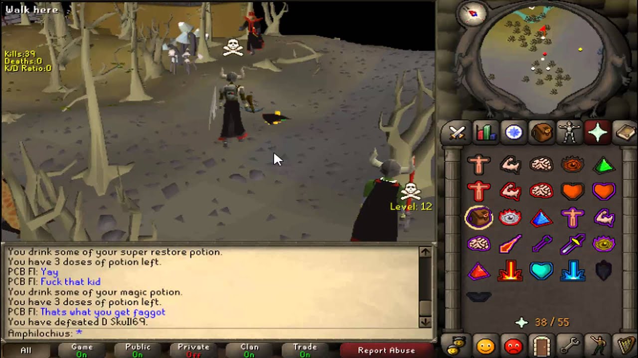Unfinished Rune Pure Pk Vid
