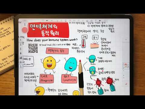 ipad sketchnote 면역체계의 동작원리