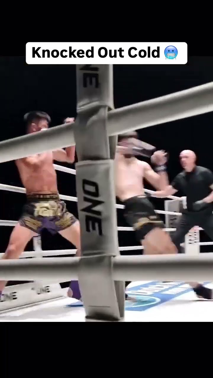 Crazy Setup ?? #muaythai #mma #knockout