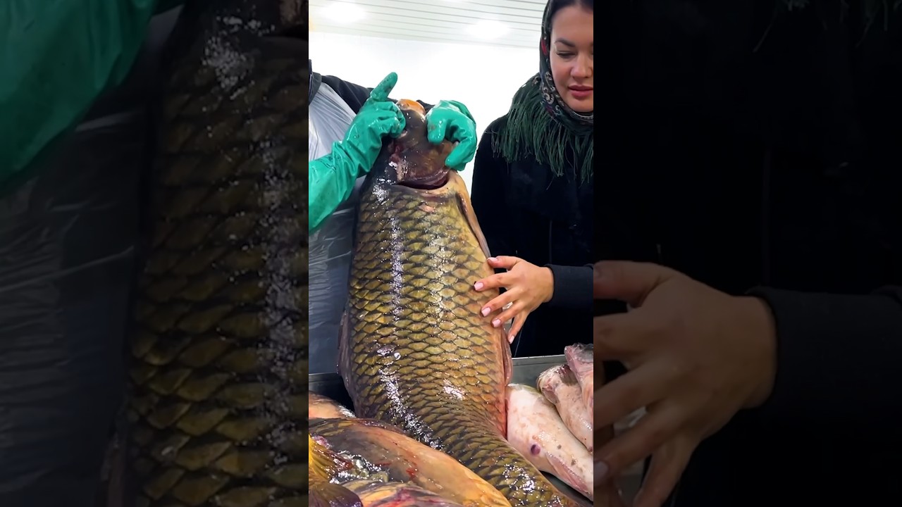 Cooking Large Fish in the Oven! ?