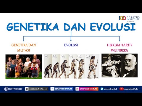 Video: Apa itu evolusi gen?