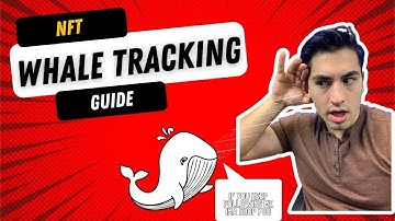 BE THE FIRST TO FIND BLUECHIP NFT PROJECTS - NFT WHALE TRACKING GUIDE