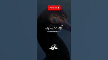 ما شاء الله ❤️ #الله #اكسبلور #تلاوة_خاشعة #quranquotes #قرآن #قرآن #قران_كريم #ماشاءالله #دويتو