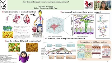Debasmita Mazumdar - Made for INYAS Saransh 2025