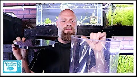 Fish Tank Filter Showdown: Under Gravel Filter vs Sponge Filter!