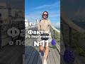 #фактопортугалии №11 Жакаранда (Dasha tree)Больше интересного у меня в профиле @dari_td 🤭