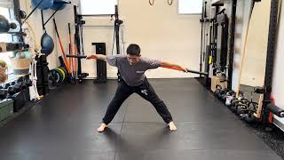 Stick Mobility Slap Shot
