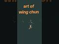 Wing Chun Flow – The Art of Smooth Combat 🌊👊