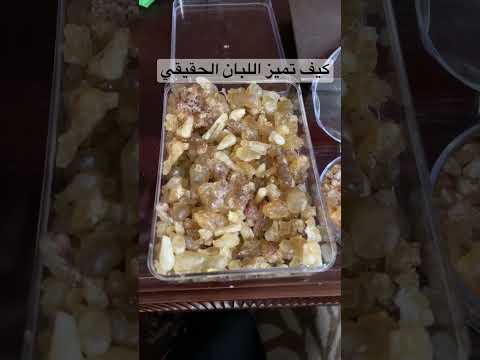 اللبان الذكر الحقيقي