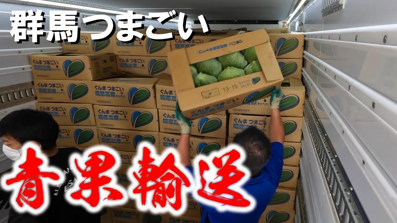 群馬から九州を目指す長距離トラック運転手の一日に密着！絶景のキャベツ畑