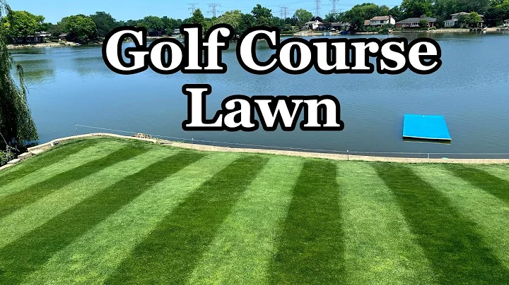 Backyard GOLF COURSE - Step by Step