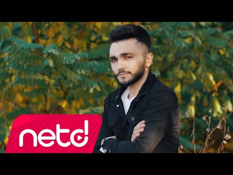 Ali Fırtına — Hani Dostlarım