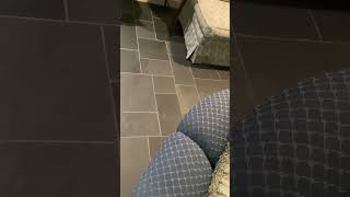 IMG 2806