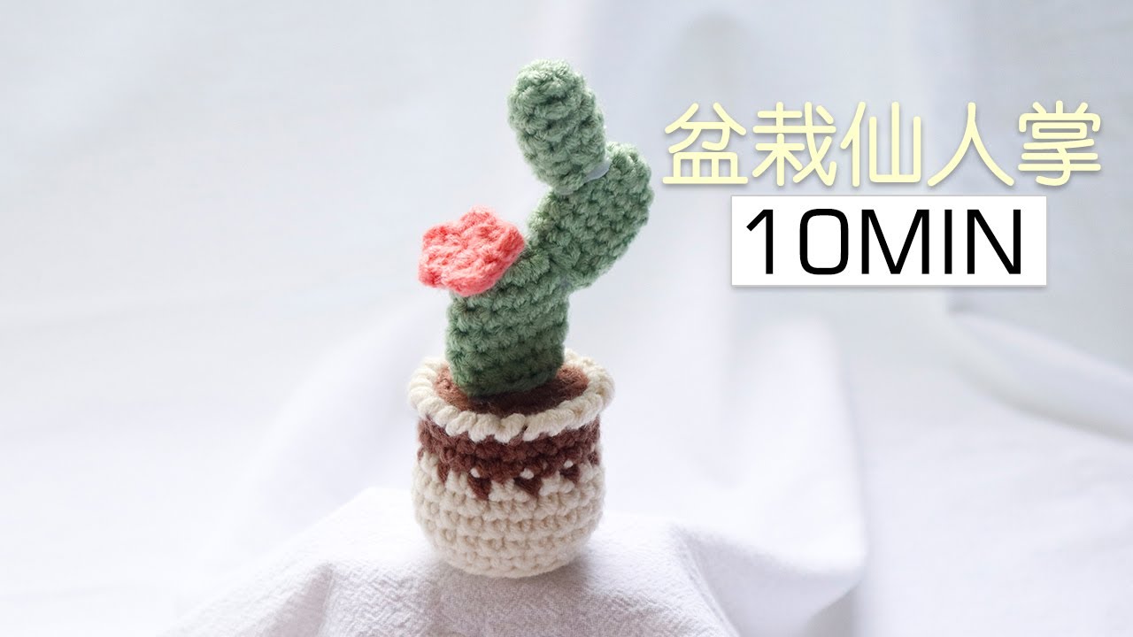 钩针花卉｜盆栽仙人掌｜沙漠之花