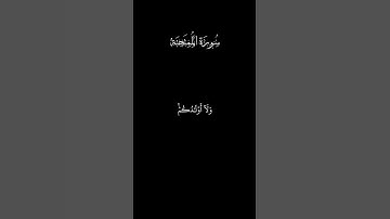 لن تنفعكم أرحامكم ولا أولادكم | سورة الممتحنة