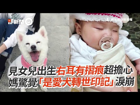 媽見女兒出生右耳有摺痕！驚覺是「愛犬轉世印記」淚崩｜寵物動物｜暖聞｜狐狸犬｜看新聞