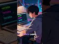 Bugs en la programación